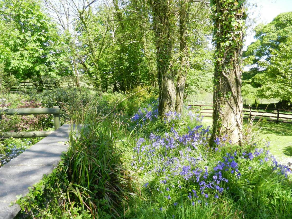 Abernant Cilwen Country House Bed And Breakfast מראה חיצוני תמונה