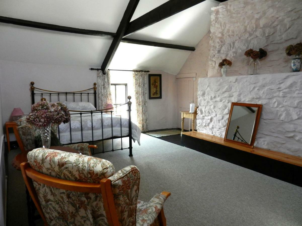 Abernant Cilwen Country House Bed And Breakfast חדר תמונה
