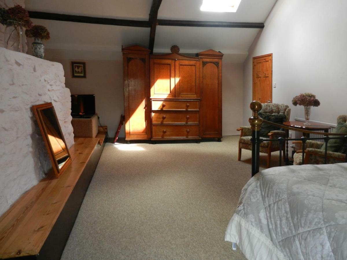 Abernant Cilwen Country House Bed And Breakfast מראה חיצוני תמונה