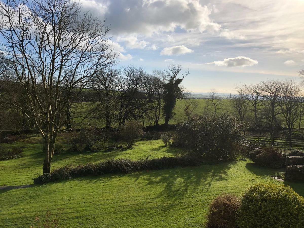Abernant Cilwen Country House Bed And Breakfast מראה חיצוני תמונה